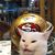 Lavina Marie Yesslith's profile image