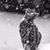 Julie Gray-Ringuette's profile image