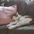 Jackie Rock's profile image