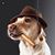 Michelle Halbert's profile image