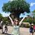 Jill Bolick Bodenheimer's profile image