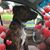 Katherine Denton Parks's profile image