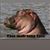 Tom Haller Umf's profile image