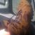 Ron Goldbaugh's profile image