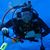 Karin Dietterich McDonough's profile image