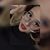 Murielle Oceguera's profile image