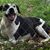 Marion Gentry's profile image