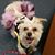 Kathy Delakas's profile image