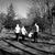 Sharon Taszak's profile image