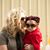 Amelia Peterson's profile image