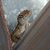 Shelly Hribar's profile image