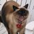 Delsie Diller's profile image