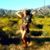 Leyah Love's profile image