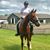 Laure Depourcq's profile image