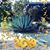 Tona Baez's profile image