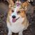 Staci Preckel Sanders's profile image