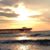 Julie Gomes's profile image