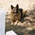 Jeannie Purnell Meisner's profile image