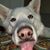Bryant Dietz's profile image