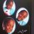 Ketcha Johnson's profile image
