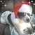 Stephen Frazier Nessel's profile image