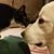 Amy Anderson's profile image
