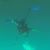 Marti Alejandro Ruiz's profile image