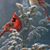 Sherri Russell Storey's profile image