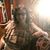 Pam Todaro-Evans's profile image