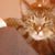 Murphy Slaw's profile image