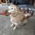 Nancy Walker's profile image
