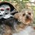Pamela Stoll Schrenker's profile image