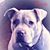 Cindy Sexton Scheel's profile image