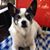 Muriel A. Irvin's profile image