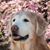 Kay Burroughs's profile image