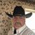 Bootleg Racing's profile image