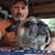 Dennis Rodgers's profile image