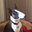 Ace The Amazing Cat's profile image