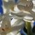 Brenda Priddy's profile image