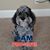 Gayla Pait Putnam's profile image