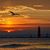 RoseAnn Edwards Turrill's profile image