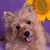 Karen Ortiz's profile image