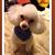 Karen Renee Booth's profile image