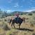 Megan Hughes's profile image