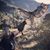 Karin Clements's profile image