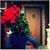Mahmod Odeh's profile image