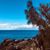 Kimberly Rushlow Spangler's profile image