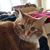 Betsy Cottrell's profile image