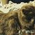 Kathryn Murphy's profile image