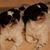 Wanda Lehr's profile image